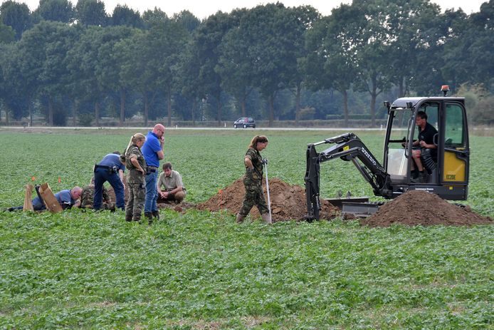 Gisteren is in het veld bij de Thornse Molen gezocht naar de Airborne-militairen die nu bijna 75 jaar vermist zijn.