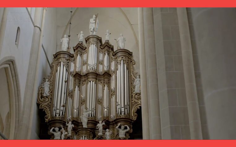 Hinszorgel van de Bovenkerk in Kampen, ook te horen op All of Bach. Beeld RV
