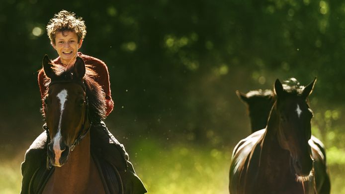 Out Stealing Horses.