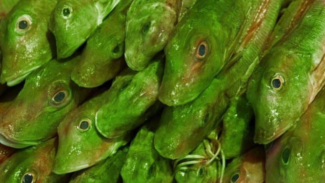 Deelscooter voor na het stappen en staanplaatsen in bioscoop? Dit zijn de leukste 1 april grappen in het Groene Hart