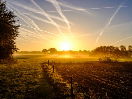 Eindelijk het is weer vroeger en langer licht! En dat is belangrijk voor onze gezondheid