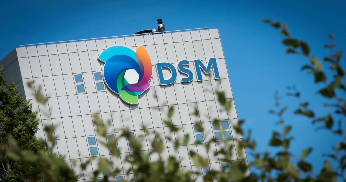 DSM richt zich op en zet materialendivisie in de etalage | Limburg |