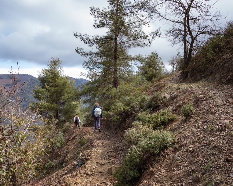 In het Troödosgebergte kan je wandelen zonder andere mensen tegen te komen.  Beeld Tom Peeters