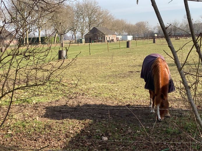 Meer zicht op uitbreidingsmogelijkheden voor Venhorst | Boekel | bd.nl