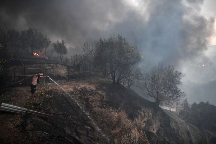 Tatoi, een landgoed van de Griekse koninklijke familie, wordt bedreigd door de hevige bosbranden in de regio.