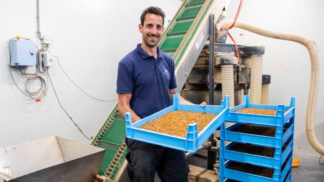 Huisvliegen of meelwormen in chocolade, mueslirepen of pasta? Als het aan Rowin ligt wél