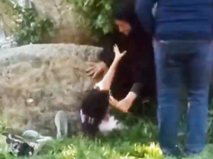 La police des mœurs iranienne réprime une jeune fille sans foulard: des passants viennent à la rescousse
