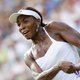 Venus Williams bereikt laatste acht