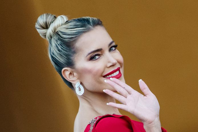 Sylvie Meis