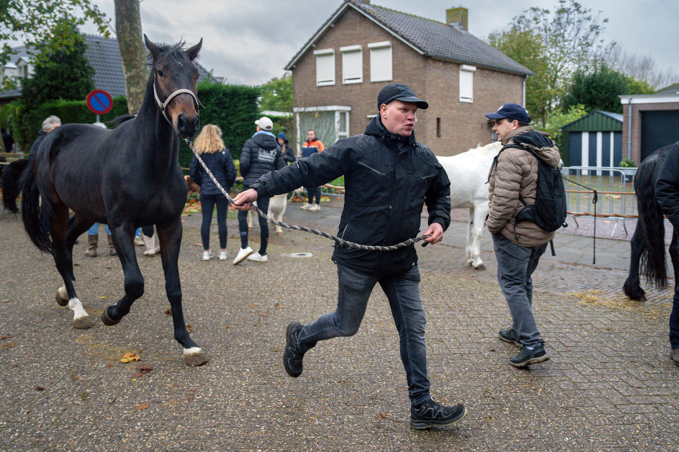 Deze stadsjongen bezoekt voor het eerst de Hedelse paardenmarkt