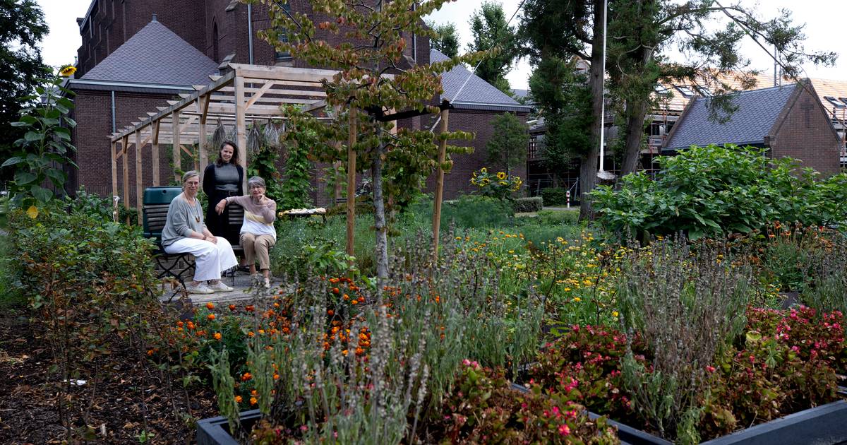 Verfplantentuin in Sterksel: ‘Het is soms een beetje pionieren’