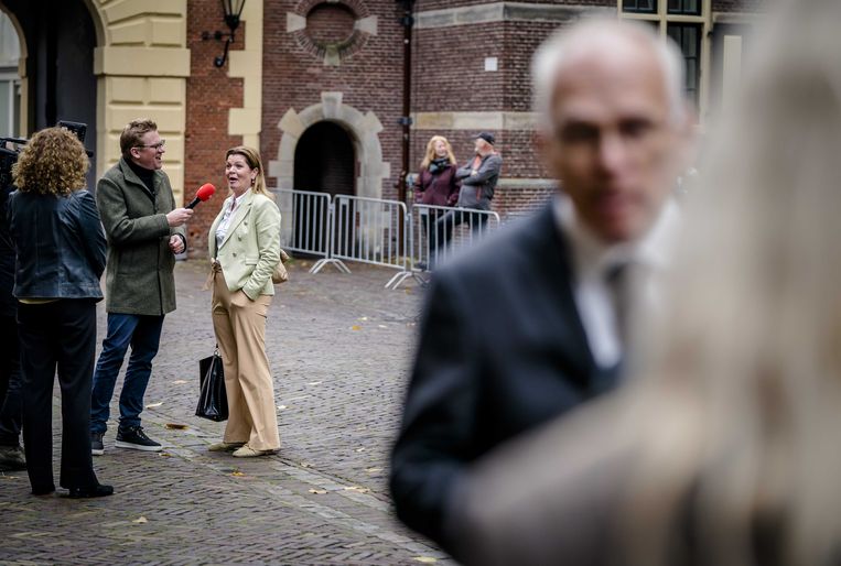 Minister voor Natuur en Stikstof Christianne van der Wal op het Binnenhof.  Beeld Bart Maat / ANP