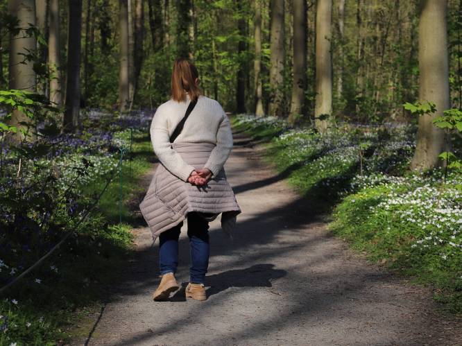 Lennikse Windherenwandeling gaat dit jaar door op zondag 28 mei met een compleet nieuw parcours
