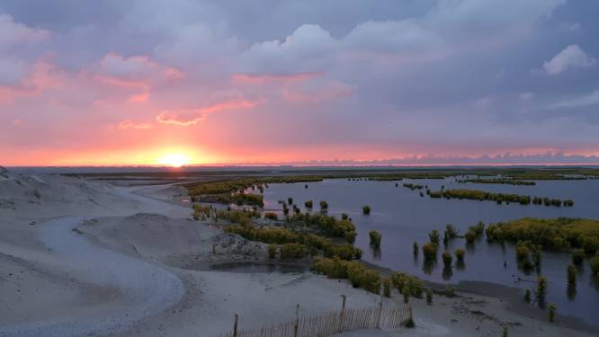 Voor één nachtje te gast op een (bijna) onbewoond eiland in het Markermeer: ‘Het voelt als een andere wereld’