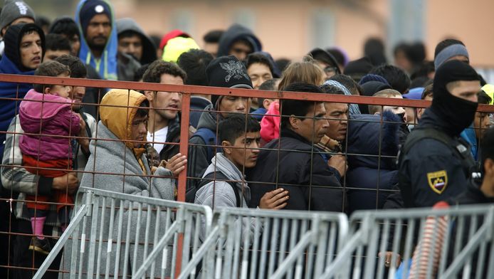 Des réfugiés attendent dans le village de Dobova en Slovénie avant d'être transférés en Autriche, le 29 octobre 2015.