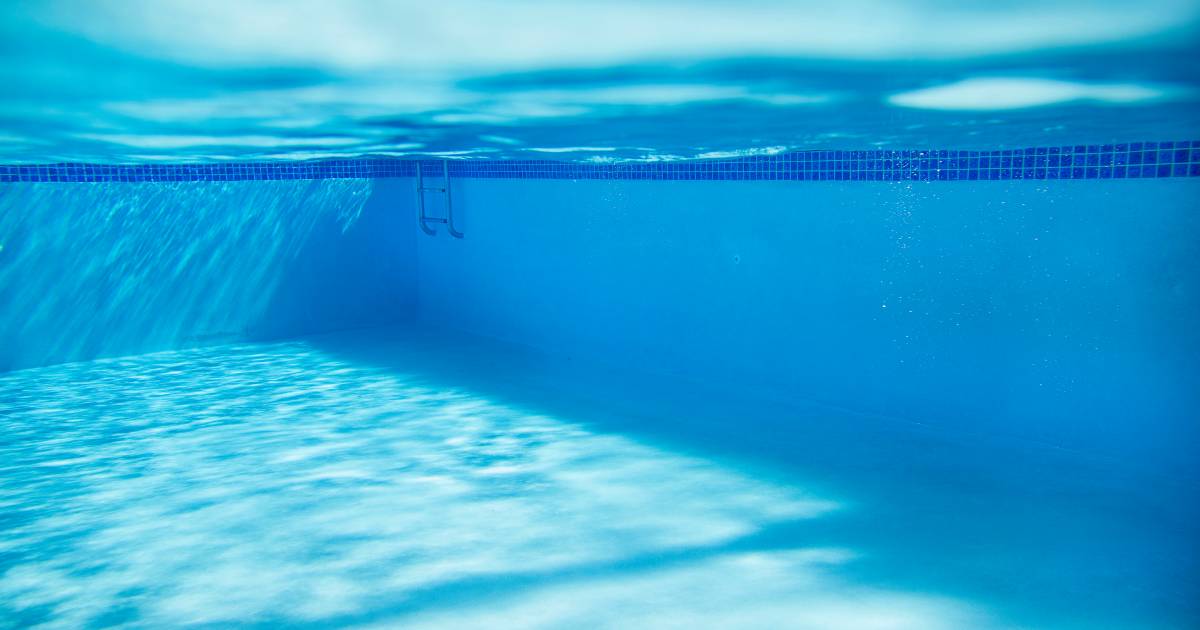 Ils Defequent Dans La Piscine Pour Protester Mille Baigneurs Evacues Insolite 7sur7 Be