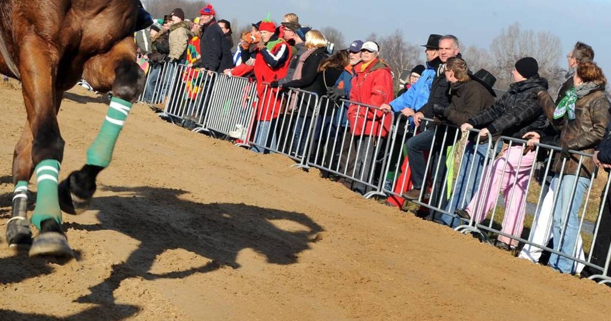 Levi Hinke nieuwe Metworstkoning
