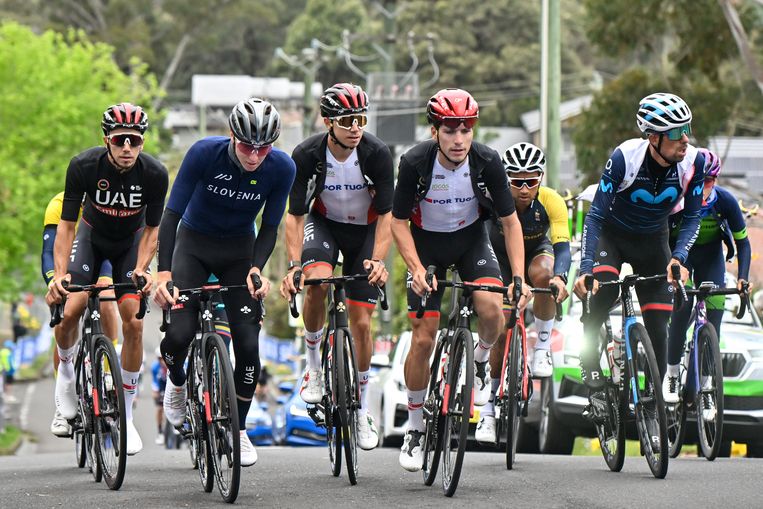 Tadej Pogacar op pad met de Sloveense en Portugese nationale ploeg in Wollongong. Beeld BELGA
