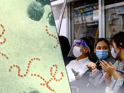 Streptococcus pyogenes / Des Japonais qui reprennent les habitudes de la pandémie de coronavirus.