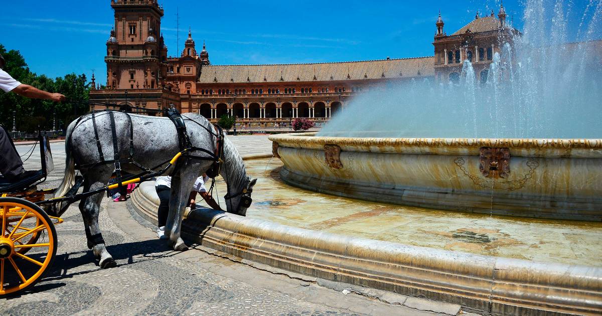 Il cavallo dell’attrazione crolla durante l’ondata di caldo spagnolo e muore in strada |  al di fuori