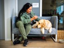 Ze slapen slecht en zitten rillend op de bank: agenten moeten soms ook mentaal worden opgelapt