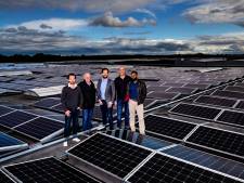 Bedrijven Helmond samen in zonnepanelen: zó kunnen ook kleine firma’s duurzamer