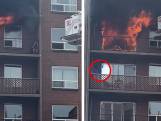 Un homme et son chat échappent in extremis à un incendie au Canada