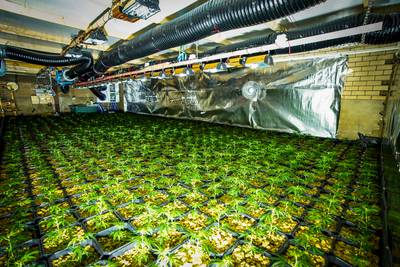 Schuur in Middelbeers jaar op slot na vondst drugslab en hennepkwekerij