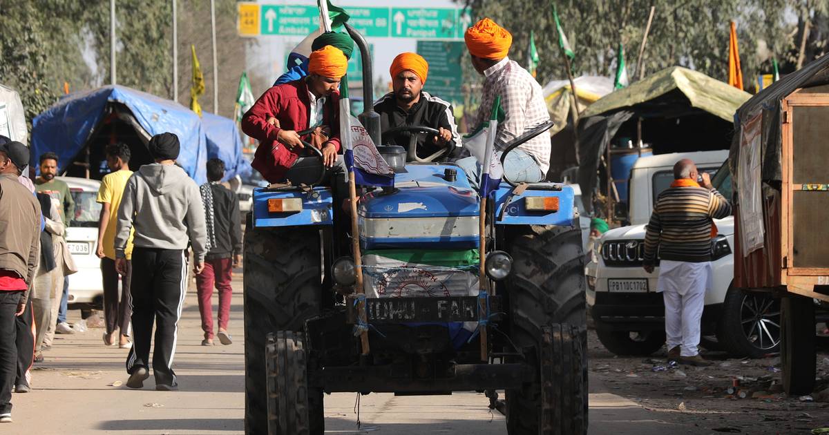 OLIFANT OP DE DOOL EIST AL ZEKER 20 MENSENLEVENS IN INDIA visual data 2