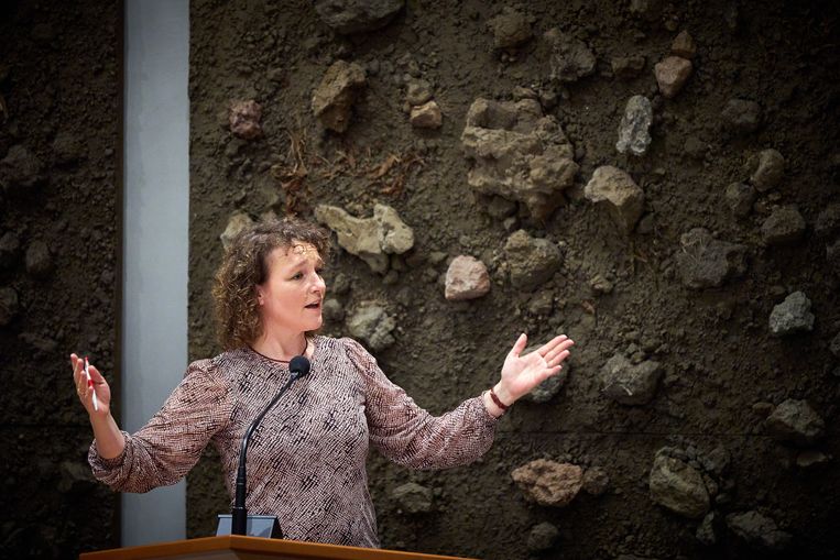 Tweede Kamerlid Renske Leijten van de SP.  Beeld Phil Nijhuis