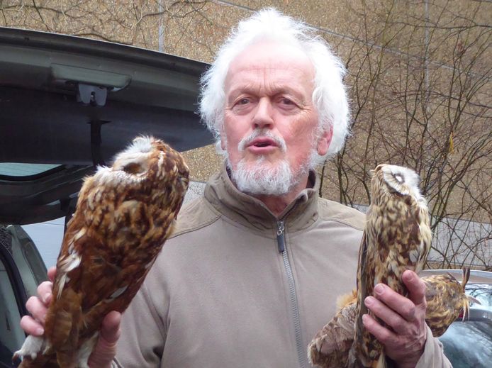 Norbert Desmet: al zijn hele leven begaan met de uilen.