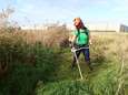 Bodem en riet van natuurreservaat naast 3M-fabriek ernstig vervuild met PFOS: “We kunnen gecomposteerd maaisel toch niet in de voedselketen laten belanden?”