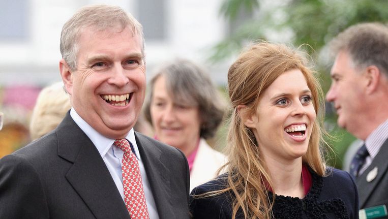 Prins Andrew Niet Langer Handelsgezant Groot Brittanie Trouw