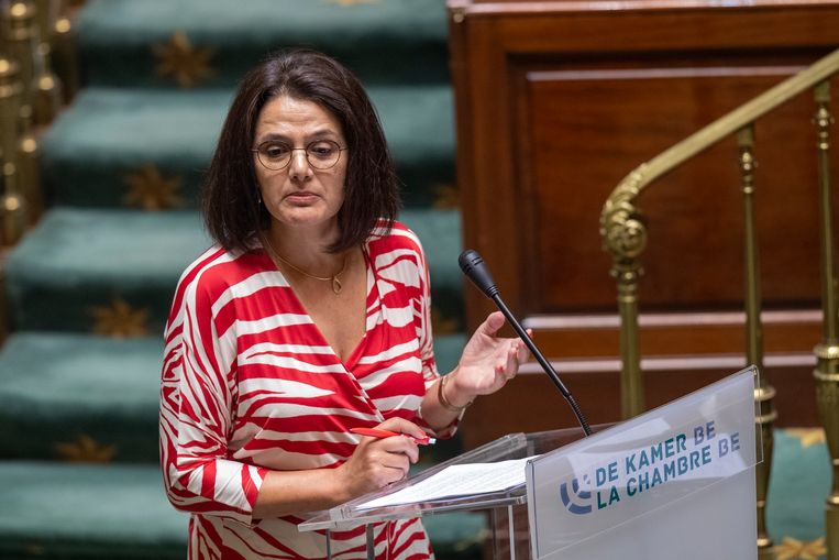 De verandering komt er op vraag van CD&V-Kamerlid Nahima Lanjri  Beeld BELGA