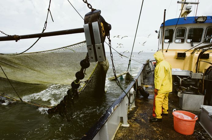 Een garnalenvisser zet zijn netten uit voor de kust van Lauwersoog.