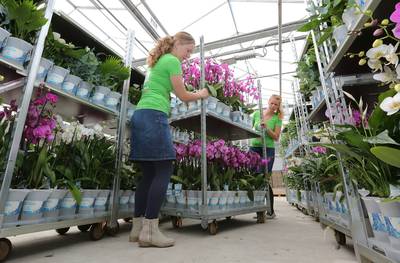 Altena in de fout en neemt aanvraag voor huisvesting arbeidsmigranten tóch in behandeling