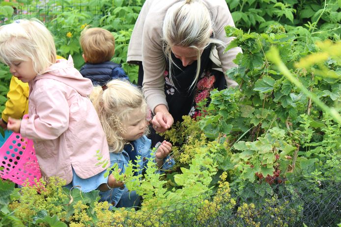 Kinderopvang Clara di Luna heeft eigen moes- en fruittuin waarin kinderen hun groenten en fruit zélf kweken en plukken. I-pads en televisie zijn er niet welkom