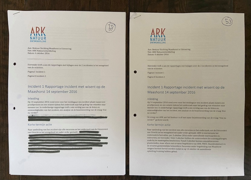 Stichting Annemieke ontving enkele documenten dubbel: eenmaal met en eenmaal zonder doorhalingen.