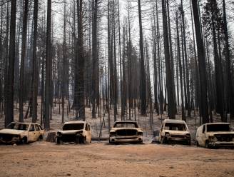 Nieuwe bosbrand in Californië legt op enkele dagen tijd al 215 kilometer in de as