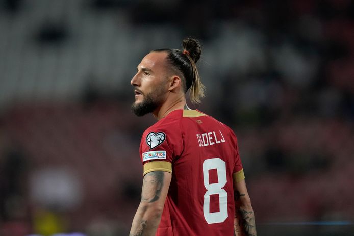 Nemanja Gudelj.