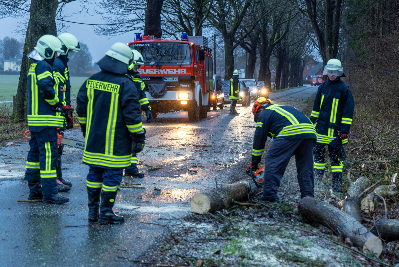 Omgewaaide Bomen En Hinder Door Dudley In Nederland Duitsland En Groot Brittannië Foto Hlnbe 0980