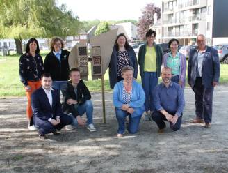Houthulst plaatst tegen de zomer 30 insectenhotels: “Nee, die trekken de Aziatische hoornaar niet aan”