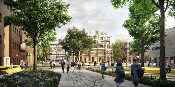 Een impressie van het vernieuwde Kennispark.