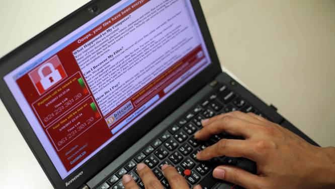 "Ik heb gehuild zoals ik nog nooit gehuild heb": cyberaanval treft ook Belgen