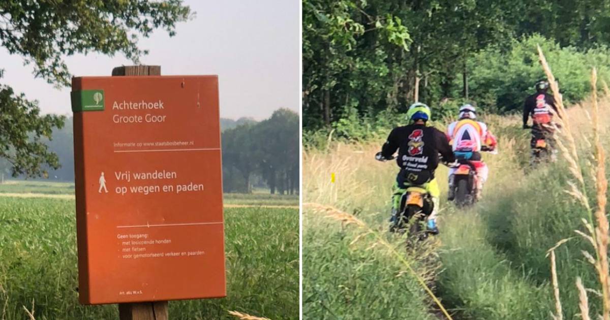 Neem ze te grazen @POL_Gelderland @polwwijkbuiten ??