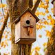 We gaan verhuizen (nog één keer)