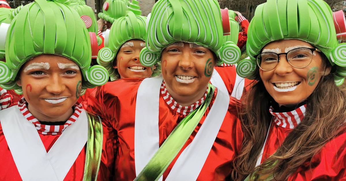 Carnavalesk versierde huizen in Sint Jansteen en Aardenburg