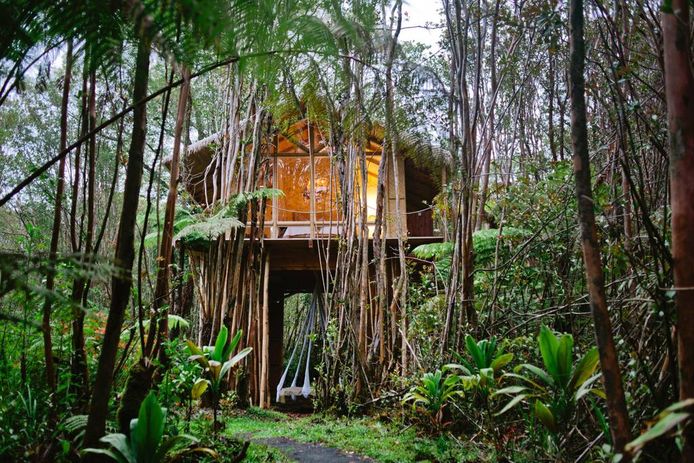 Dreamy Tropical Tree House in Hawaï