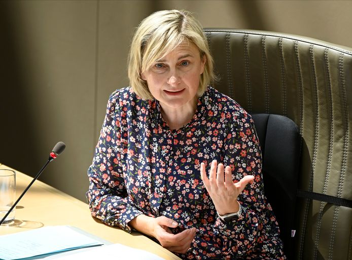 Vlaams minister van Werk Hilde Crevits (CD&V).