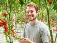 Daniël (26) ontwikkelt nieuwe tomatenrassen: ‘De planten voelen als mijn kindjes’
